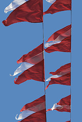 Image showing Red And White Flags