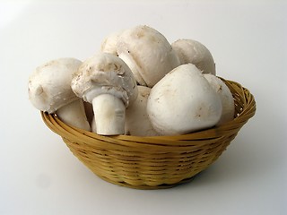 Image showing mushrooms