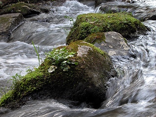 Image showing River Detail