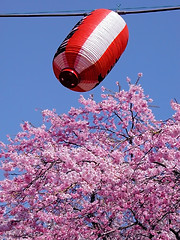 Image showing Spring Lantern