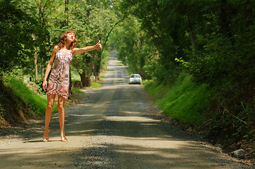 Image showing Pretty Hitch Hiker