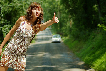 Image showing Pretty Hitch Hiker