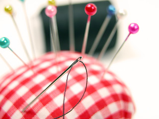 Image showing Pin-cushion