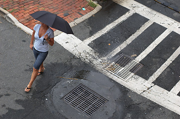 Image showing Street Umbrella