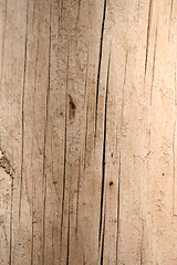 Image showing wood texture