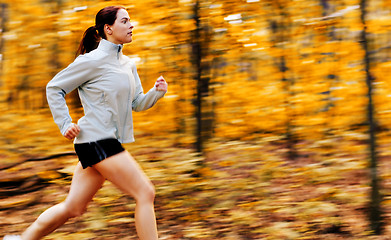 Image showing Fall Forest Runner