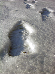 Image showing Footprint 5