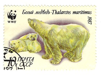 Image showing italian stamp