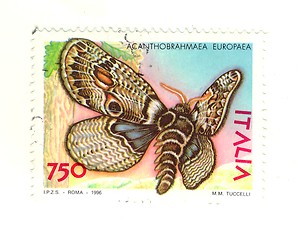 Image showing italian stamp