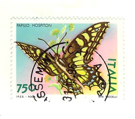 Image showing italian stamp