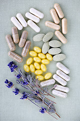 Image showing Herbal supplement pills