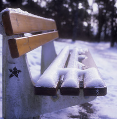 Image showing Park Bench