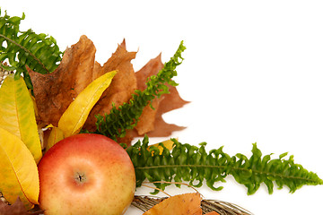 Image showing Autumnal leaves arragement