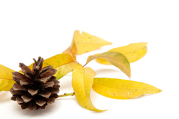 Image showing Autumnal leaves arragement