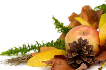 Image showing Autumnal leaves arragement