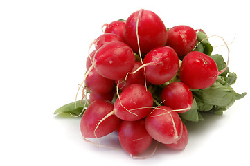 Image showing Radish