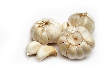 Image showing Garlic