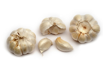 Image showing Garlic