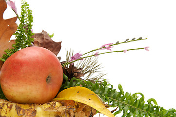 Image showing Autumnal leaves arragement