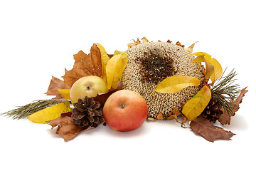 Image showing Autumnal leaves arragement