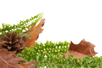 Image showing Autumnal leaves arragement