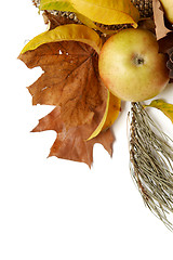 Image showing Autumnal leaves arragement