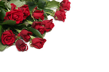 Image showing Red roses