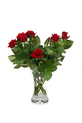 Image showing Red rose