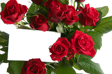 Image showing Red rose