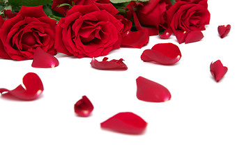 Image showing Red roses