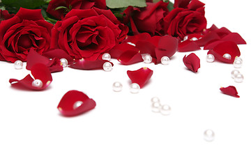 Image showing Red roses