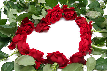 Image showing Red roses