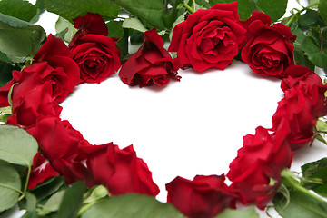 Image showing Red roses