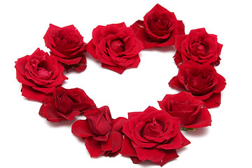 Image showing Red roses