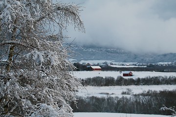 Image showing Winter landscape