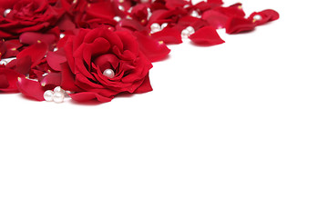 Image showing Red roses