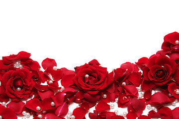 Image showing Red roses