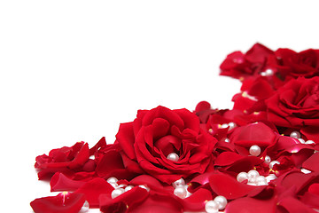 Image showing Red roses