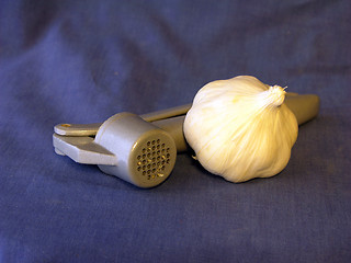 Image showing Garlic 2