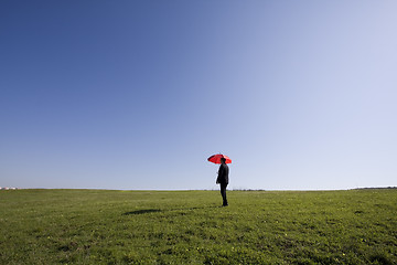 Image showing Insurance agent