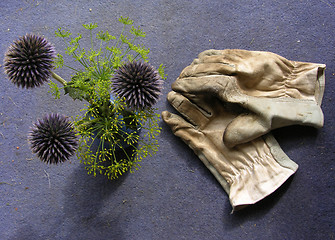 Image showing Gloves and flowers