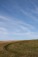 Image showing Path at the field