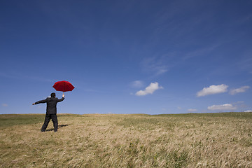 Image showing Insurance agent