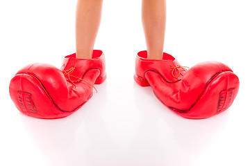 Image showing big clown shoes