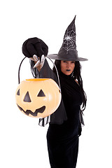 Image showing Halloween witch