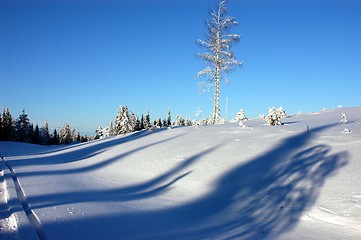 Image showing Winter landscape