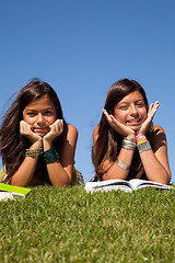 Image showing Reading at the park