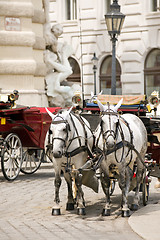 Image showing Horsedrawn carriage