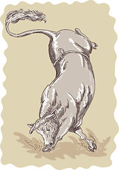 Image showing bucking bull