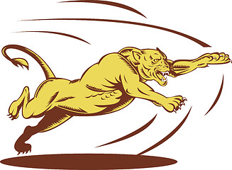 Image showing Lioness lion jumping